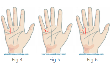 Trying to find a food for every letter of the alphabet? Palm Reading What Does Having An X On Your Palm Mean Quora