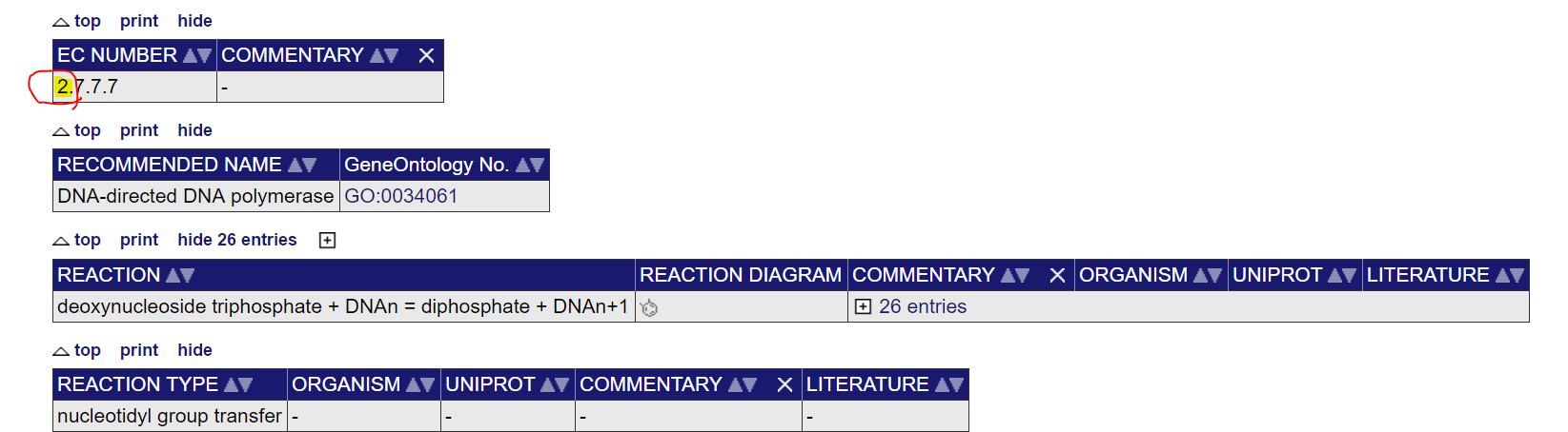 Apa jenis enzim DNA polimerase? - Quora