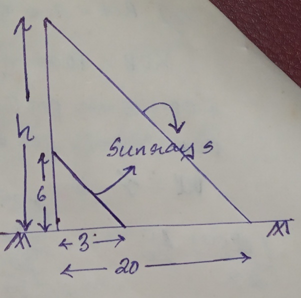 A Tree Casts A 25m Shadow When The Angle Of Elevation To The Sun Is 40 Approximately How Tall Is The Brainly Your email address will not be published.