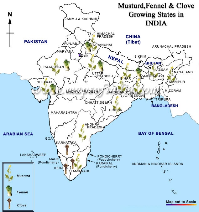 Mengapa rempah-rempah sangat penting bagi bangsa Eropa? - Quora
