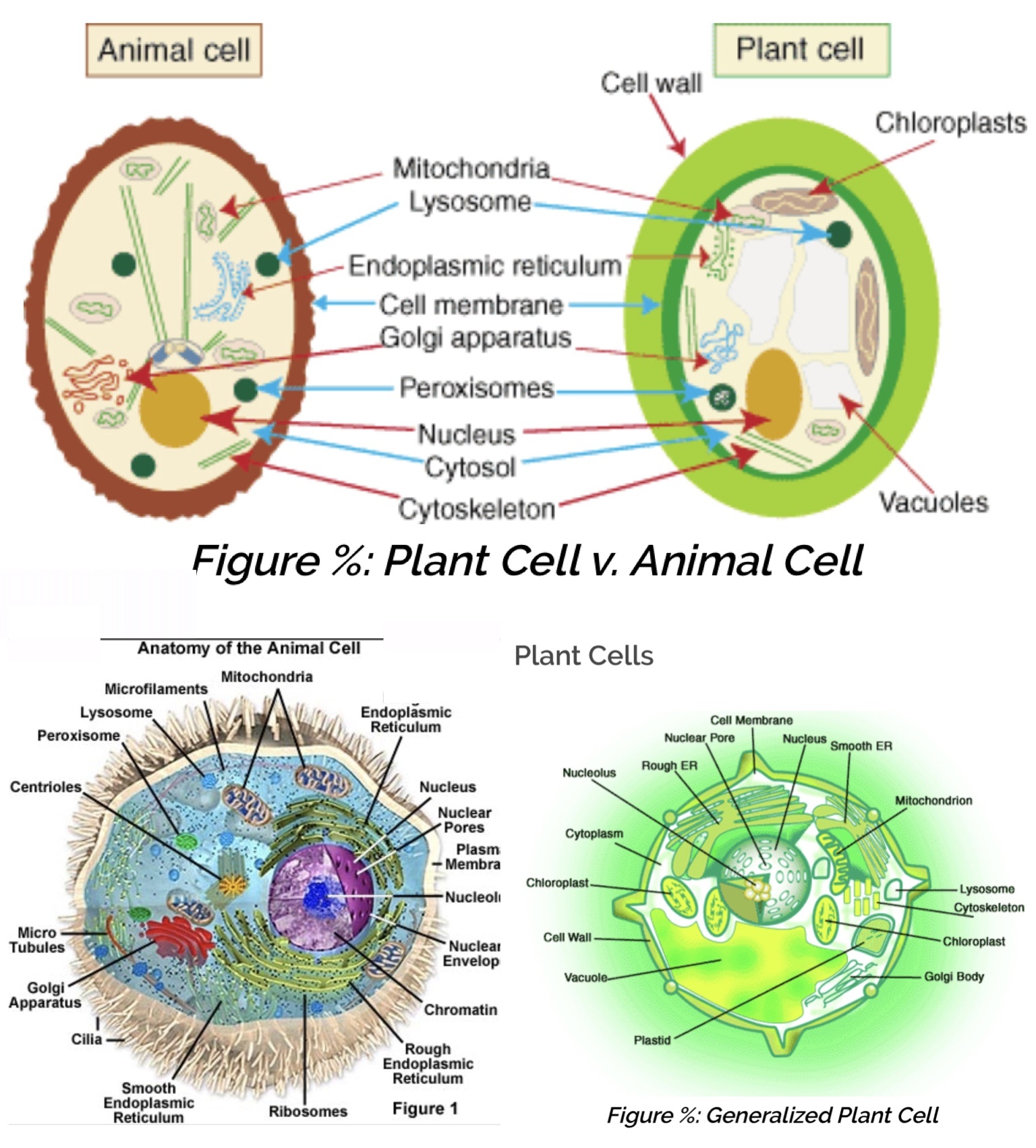 Maybe you would like to learn more about one of these? 6wkvqxtmknz5gm