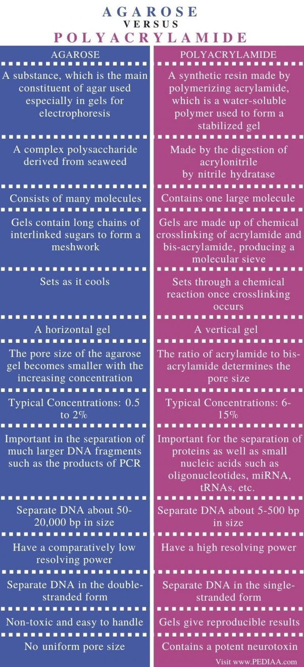 Apa perbedaan antara agarosa dan poliakrilamida? - Quora
