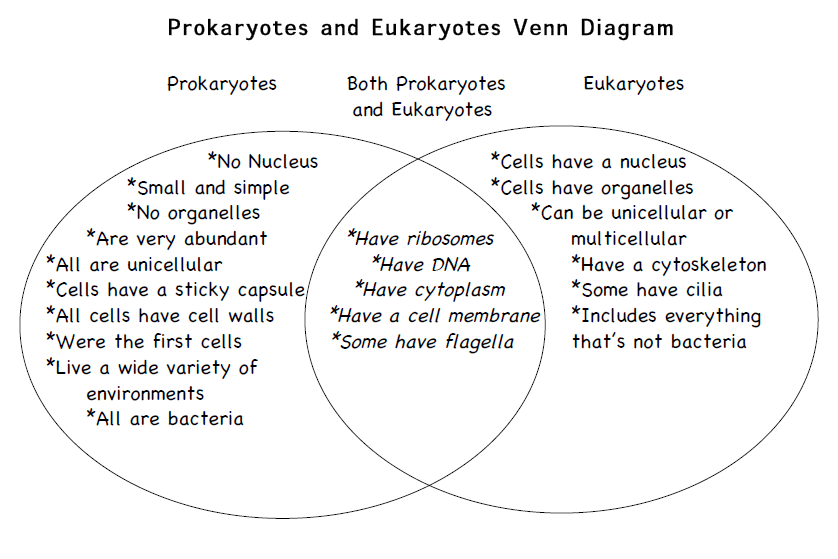 Make a venn diagram comparing . What Is A Venn Diagram And What Is The Diagram For Prokaryotic And Eukaryotic Cells Quora