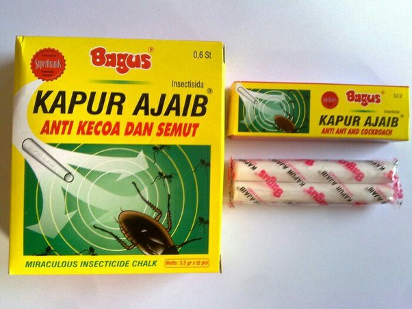Bagaimana cara efektif untuk mengusir semut? - Quora