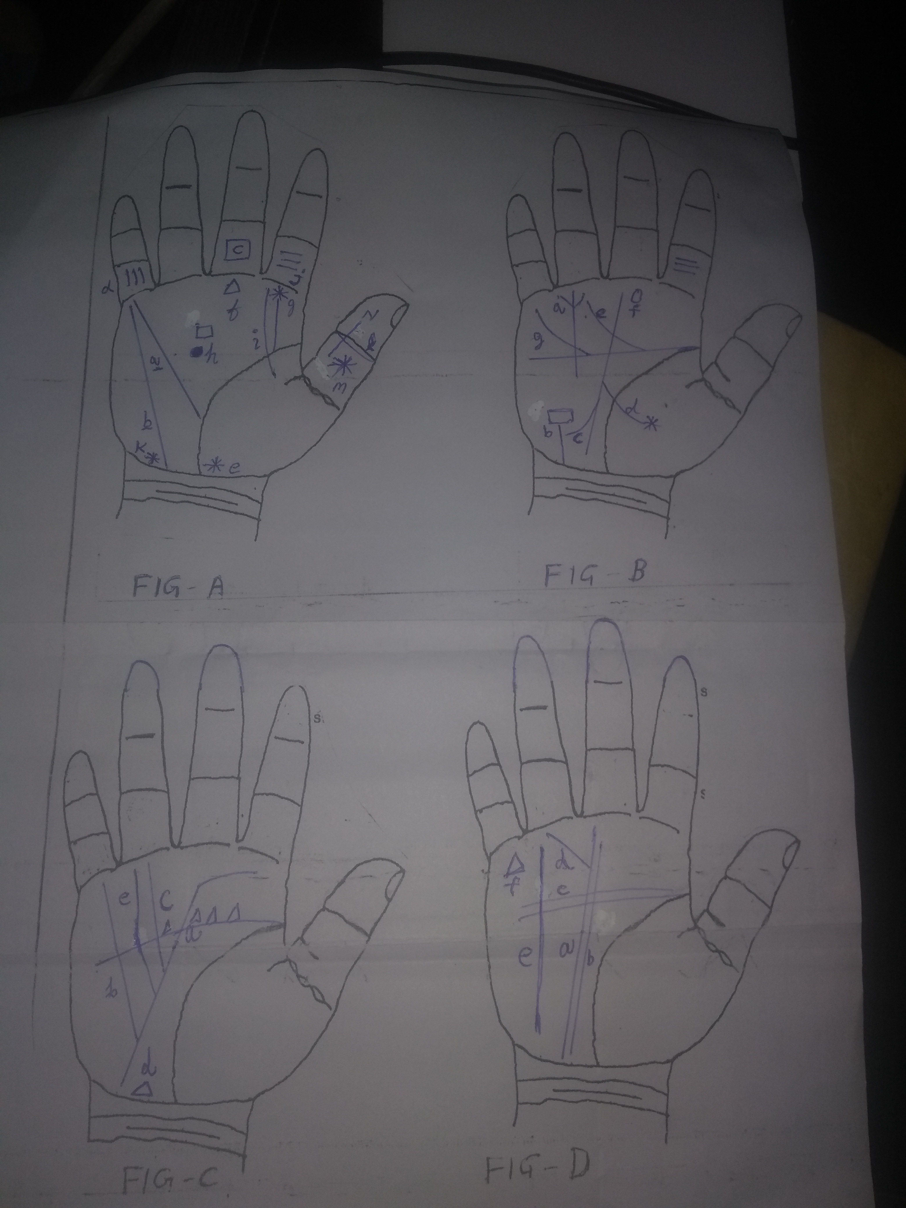 According to palmistry, people who have lotus sign in their hands, . Can Any Of You Predict About The Lotus Sign In The Palm On The Mount Of Mercury Quora