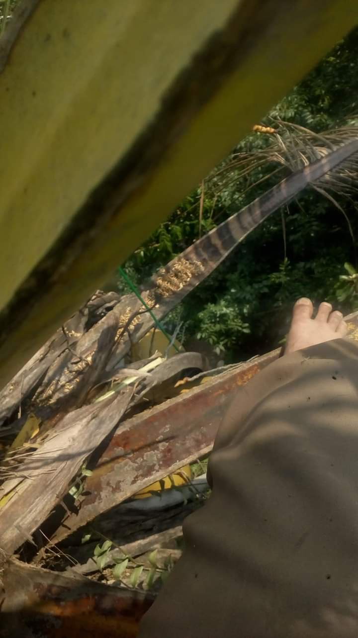 Apa jawaban yang bagus menurut Anda ketika ditanya mengenai &lsquo;kelebihan dan  kekurangan Anda&rsquo;? - Quora