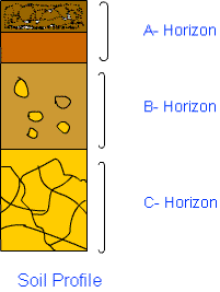 The soil profile is divided into five (5) horizons viz. What S A Soil Profile Quora