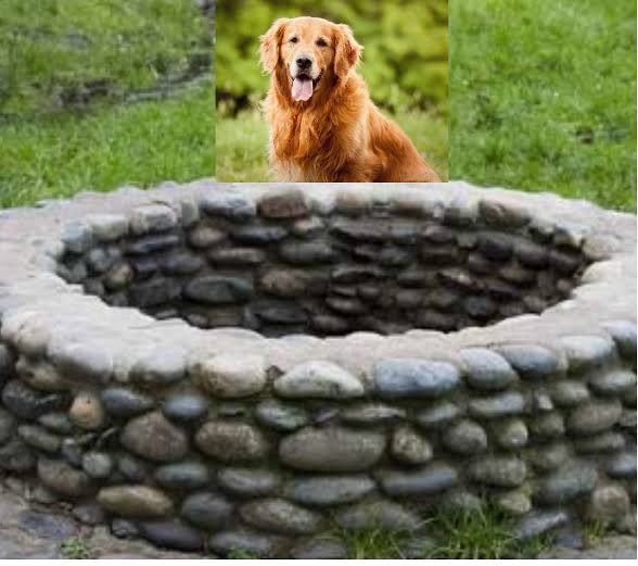 Apa perbedaan antara kotor dan najis? - Quora