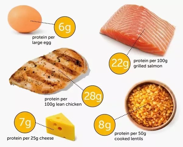 wallpapers How To Eat 200 Grams Of Protein A Day how to eat 200 grams of protein a day quora