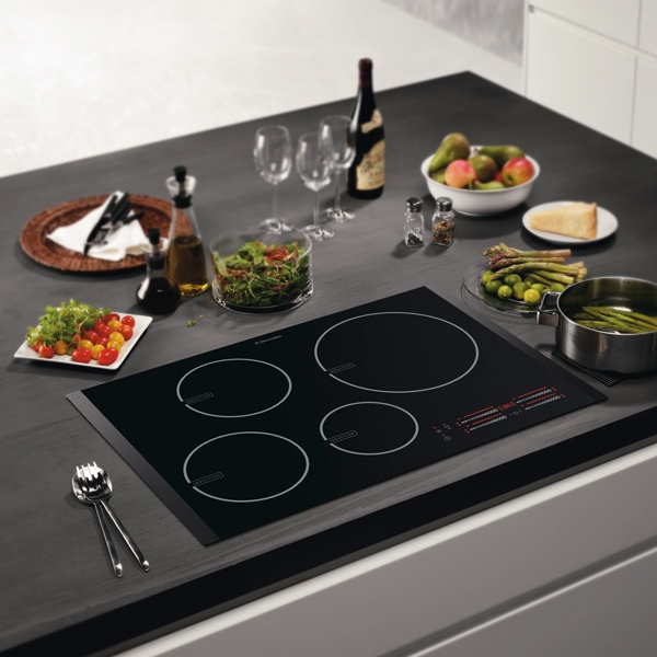 Which One Is Economical To Use In India An Induction Cooker