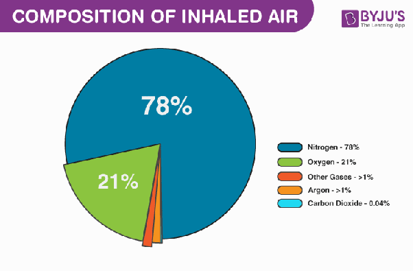 Mengapa gas CO2 yang masuk ke dalam sistem pernapasan kita dapat  menyebabkan kematian? - Quora