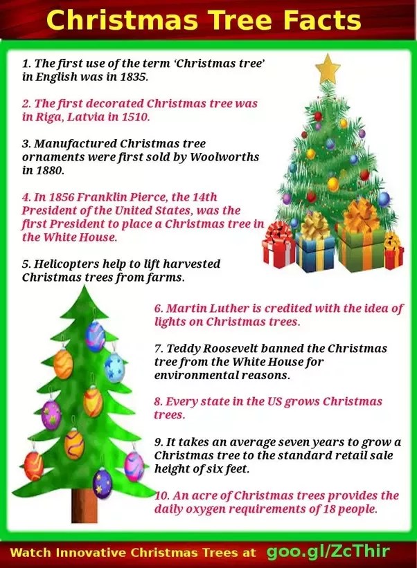 And from a cozy afternoon spent hanging ornaments to a christmas morning brimming with presents, so much of the holiday season revolves around the tree. What Are The Facts About Christmas Tree Quora