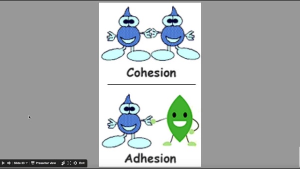 What Is Cohesion Adhesion In Fluid Mechanics Quora