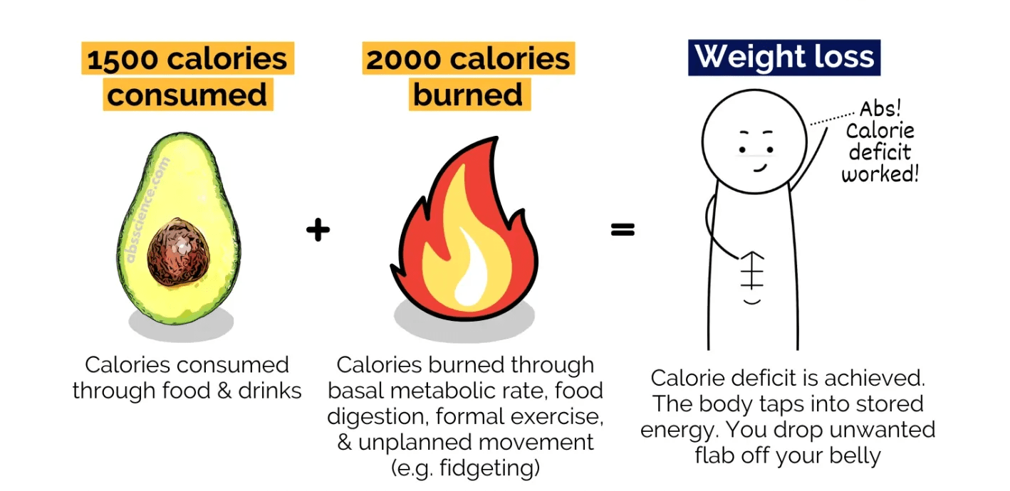 They can show you your exact step count, calories burned, minutes moved, heart rate and movement pace. Everybody Says To Lose Weight You Must Count Calories And Exercise More Is This True If So How Do You Start Counting Calories With A Healthy Mindset Quora