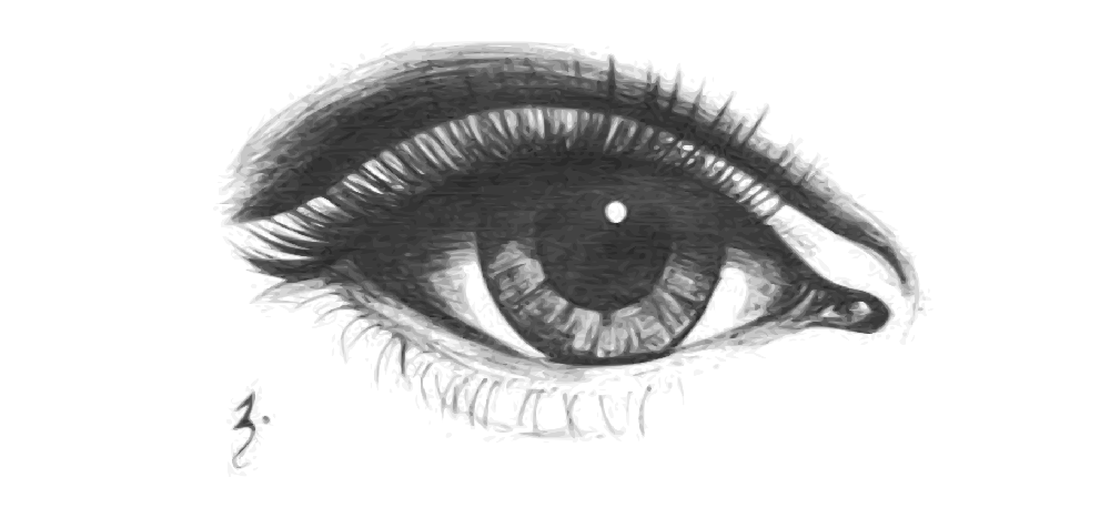 I am amazed by those who can create such lifelike images . Is It Possible To Ink A Drawing With A Usual Standard Black Ballpoint Pen If Yes How Quora