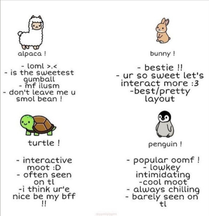 The college investor student loans, investing, building wealth updated: Credits To Avid Supporter Https Www Quora Com Profile Katherine 1464 What Do Yall Think Of Me I Personally Think I M A Turtle I Talk Alot I Post Alot And I Will Definitely Like To