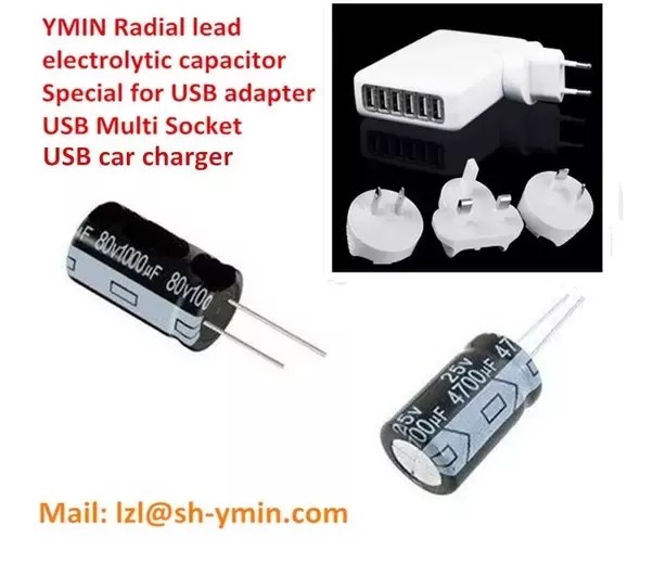 Which Manufacturer Offer Professional Electrolytic