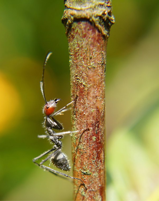 Apakah foto bagus oleh fotografer selalu diedit terlebih dahulu? - Quora