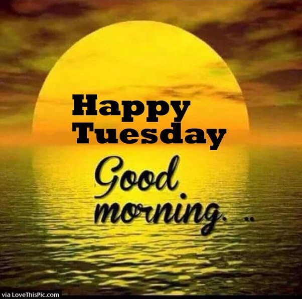 Funny, happy, inspirational and positive good morning tuesday quotes and sayings. Which are the best Tuesday quotes? - Quora