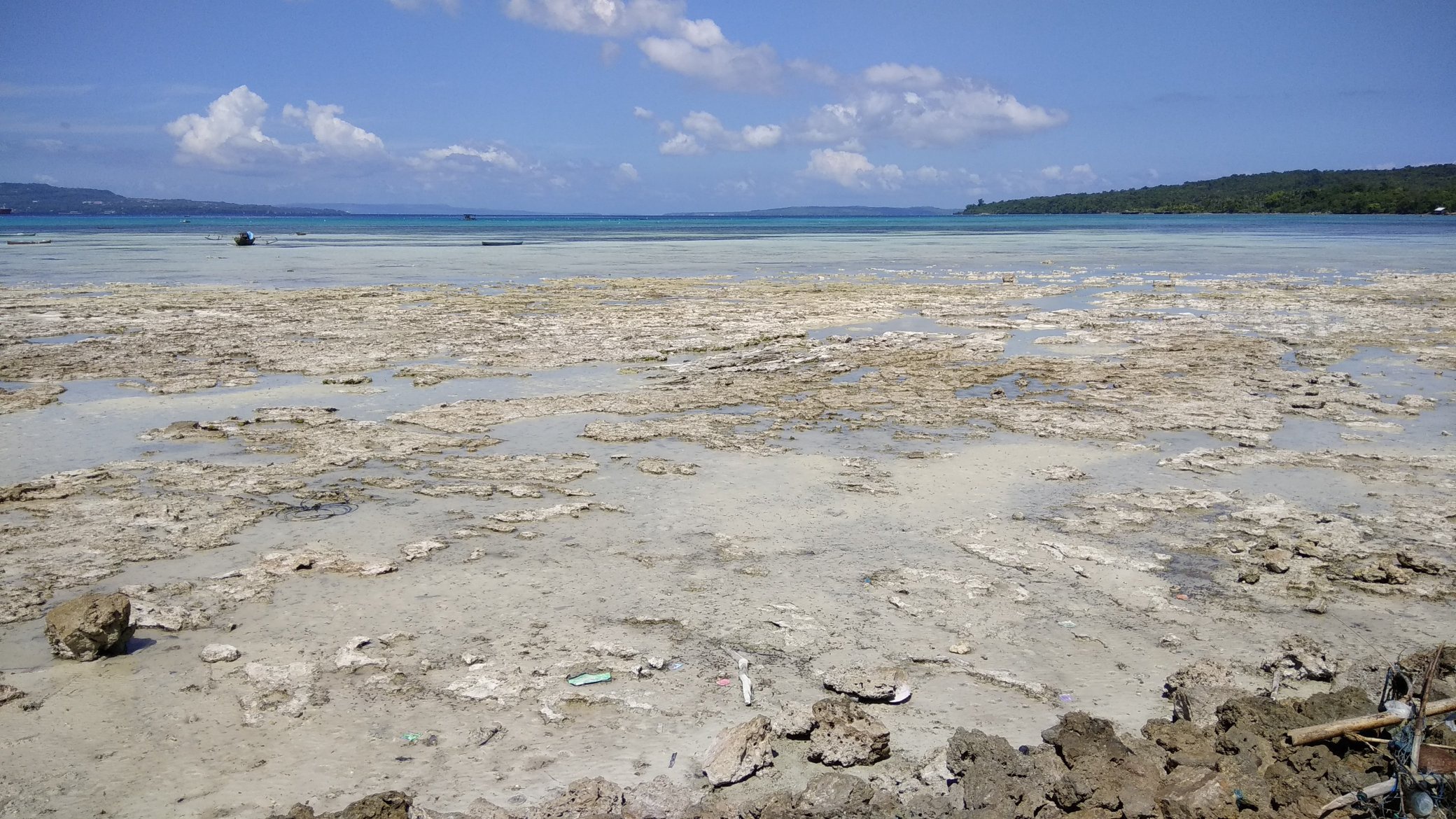 Apakah untuk saat ini, lebih baik permukaan laut terus naik akibat  pemanasan global, atau justru menyusut seperti zaman es? - Quora