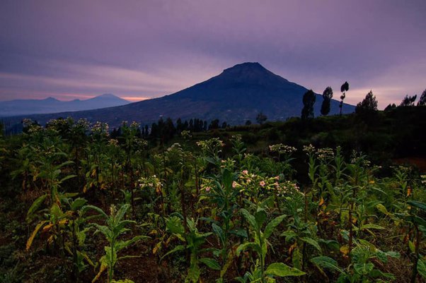 Apa yang menarik dari Kota Meulaboh? - Quora