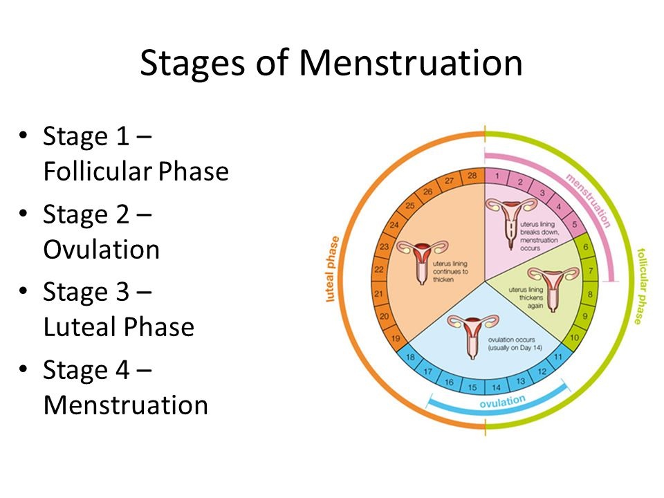 These are the days of . Can I Get Pregnant Two Days Before My Period Is Due
