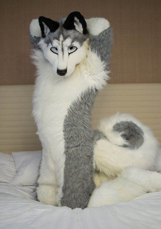 As an industrial engineering group with an heritage of over 200 years, fives designs and supplies machines, process equipment and production lines. Why would people think furries are bad? - Quora