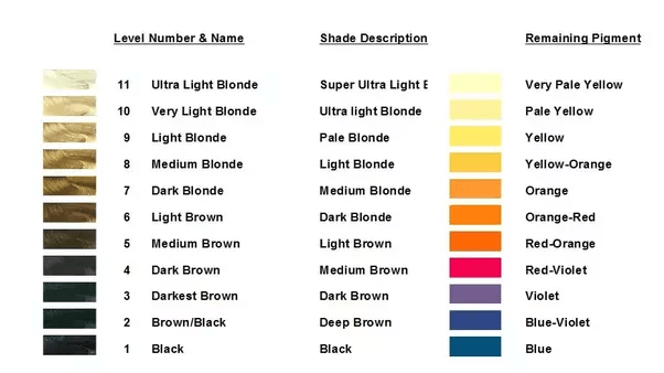 Webjan 16, 2023 · hair color chart numbers help you better understand which shades to use for the perfect hair color. nrdfthblvd
