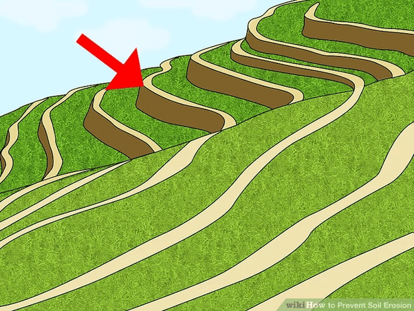 What Is Soil Erosion What Steps Can Be Taken To Control Soil Erosion Brainly In A wall at the base of the slope can help in preventing the soil from eroding.