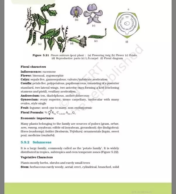Which Plant Families Are Included In Neet Syllabus Quora