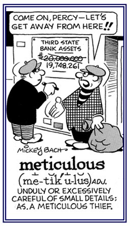 How is the word 'meticulous' used in a sentence? - Quora