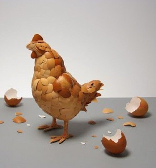 Apa penjelasan ilmiah terhadap pertanyaan lebih duluan mana antara telur  dan ayam? - Quora