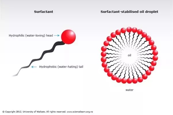 photo Why Are Emulsifiers Bad For You are emulsifiers in food bad for you