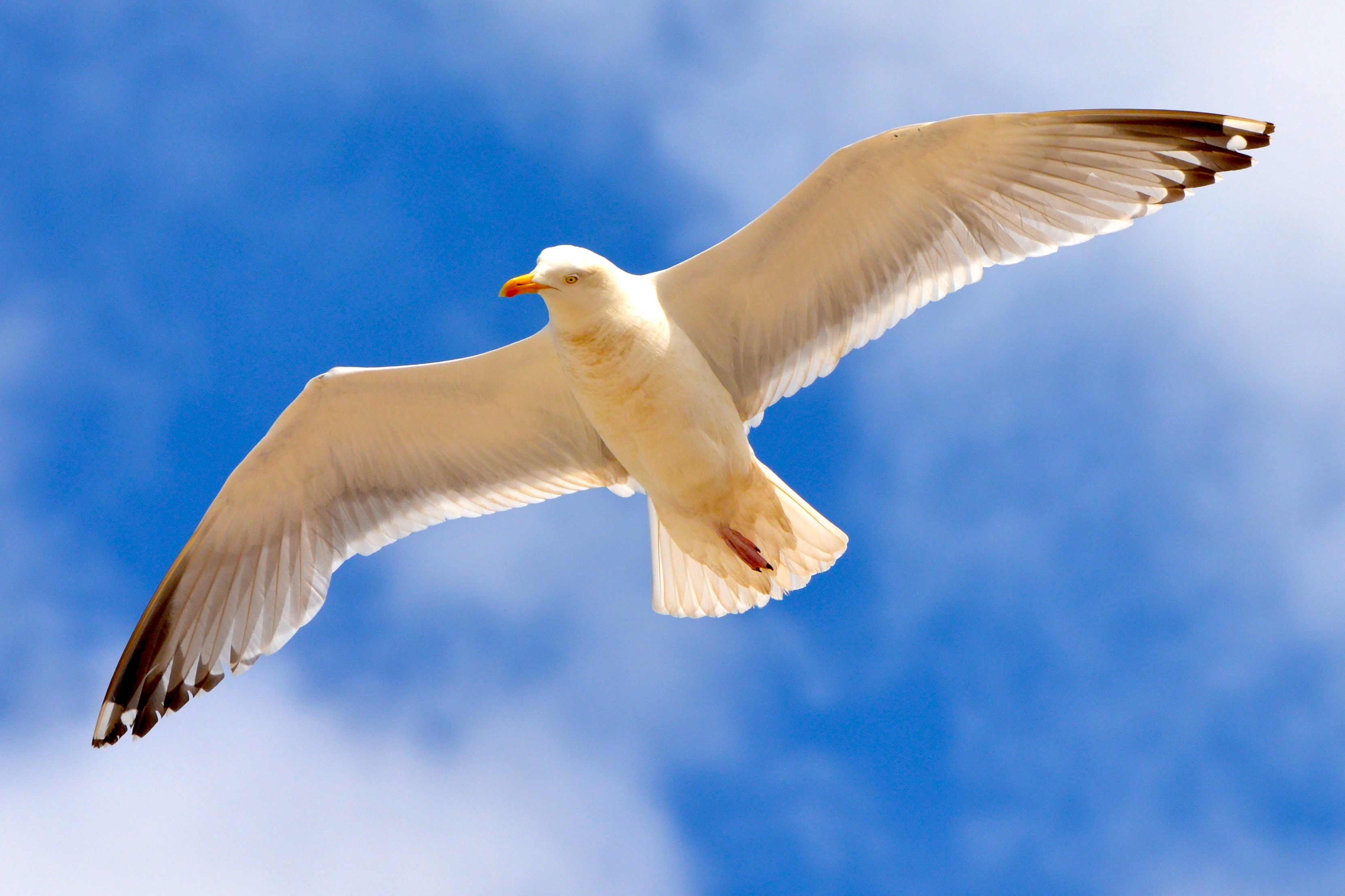 Apa itu Moksha dan bagaimana pentingnya memahami hakikat agama Hindu? -  Quora