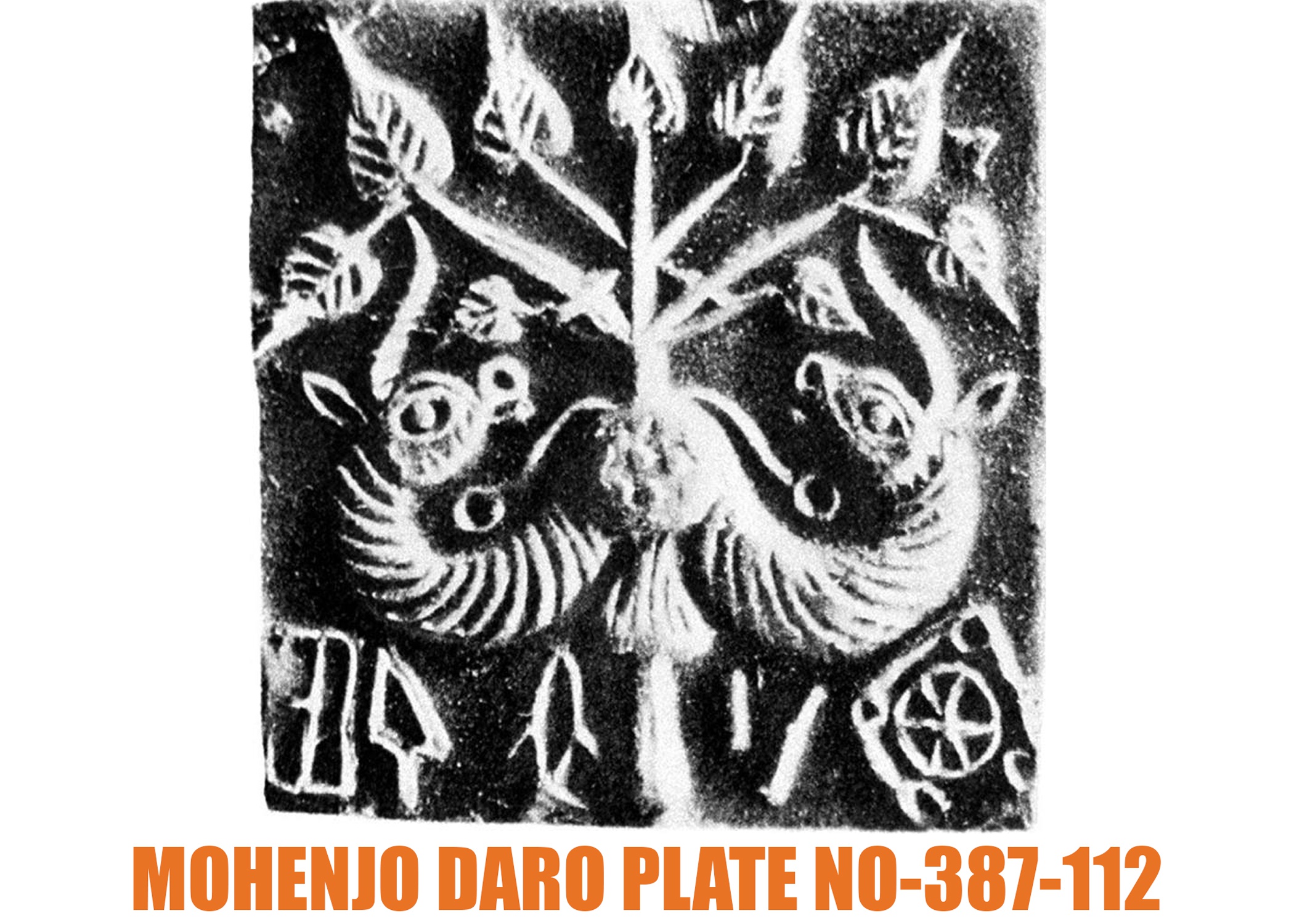 Bagaimana cara berpikir Lempeng Mohenjo Daro No. 387cxii terkait dengan  Rgvedic Sukta 1.164-20 - Quora