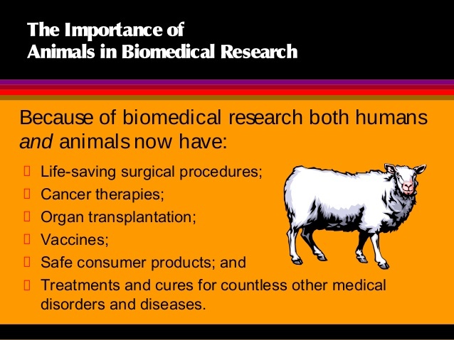 Is animal testing justifiable? Should animal testing be used for scientific  or commercial purposes? - Quora