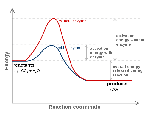 What is the activation energy (chemistry)? - Quora