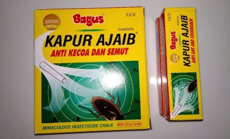 Apa tips paling jitu menghilangkan semut di rumah? - Quora