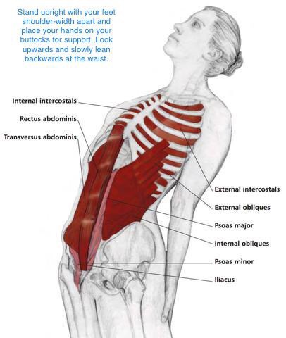 It may be painful to press over the injured. Why Would Your Ribs Hurt After Doing Sit Ups Quora