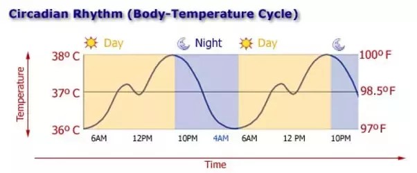 Normal Body Temperature How It Fluctuates An adults normal temperature will range from 99 degrees to 101 degrees.