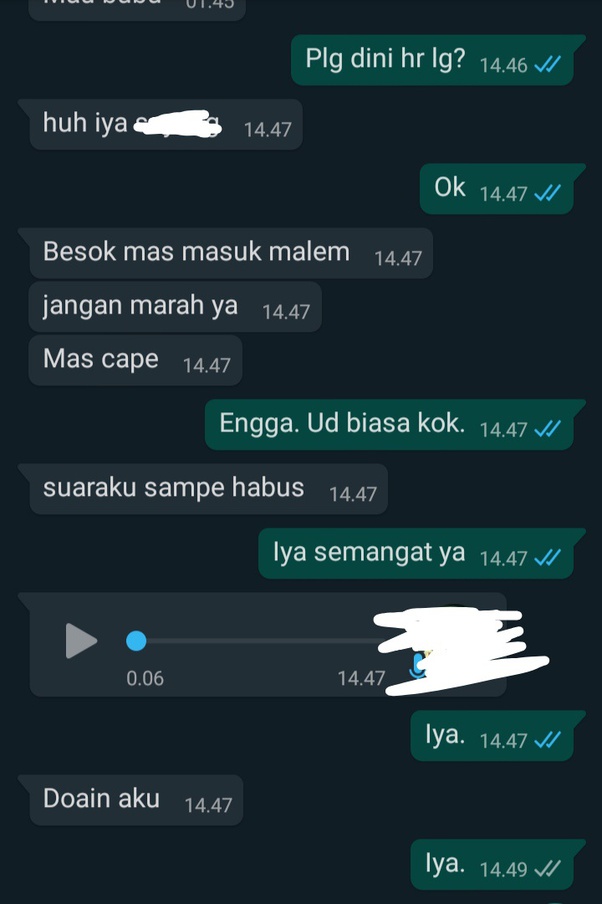 Maksud Ldr Apa Sih