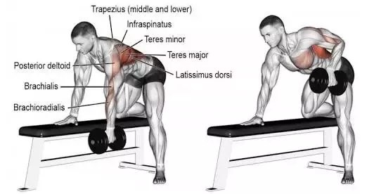 pix Dumbbell Row Alternative quora
