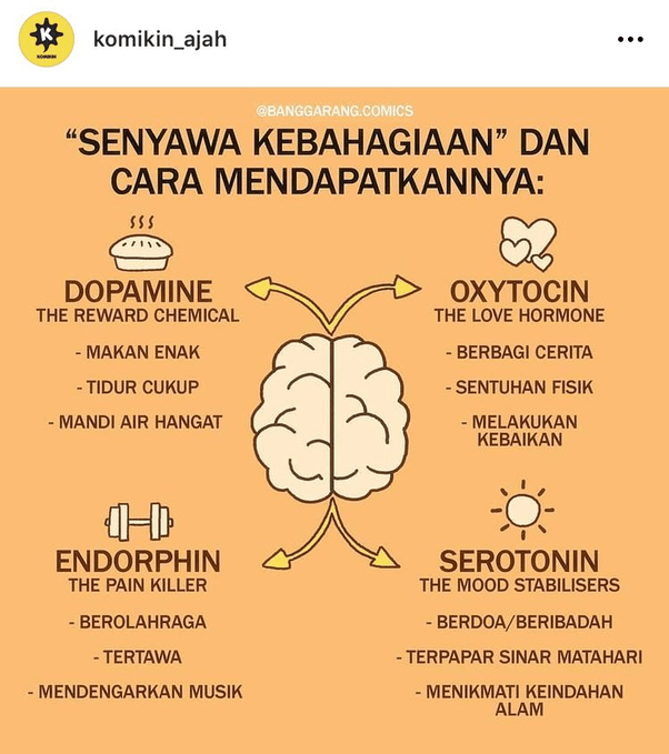Apa itu hati dan perasaan? - Quora