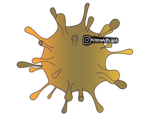Apa penyebab virus tokso? - Quora