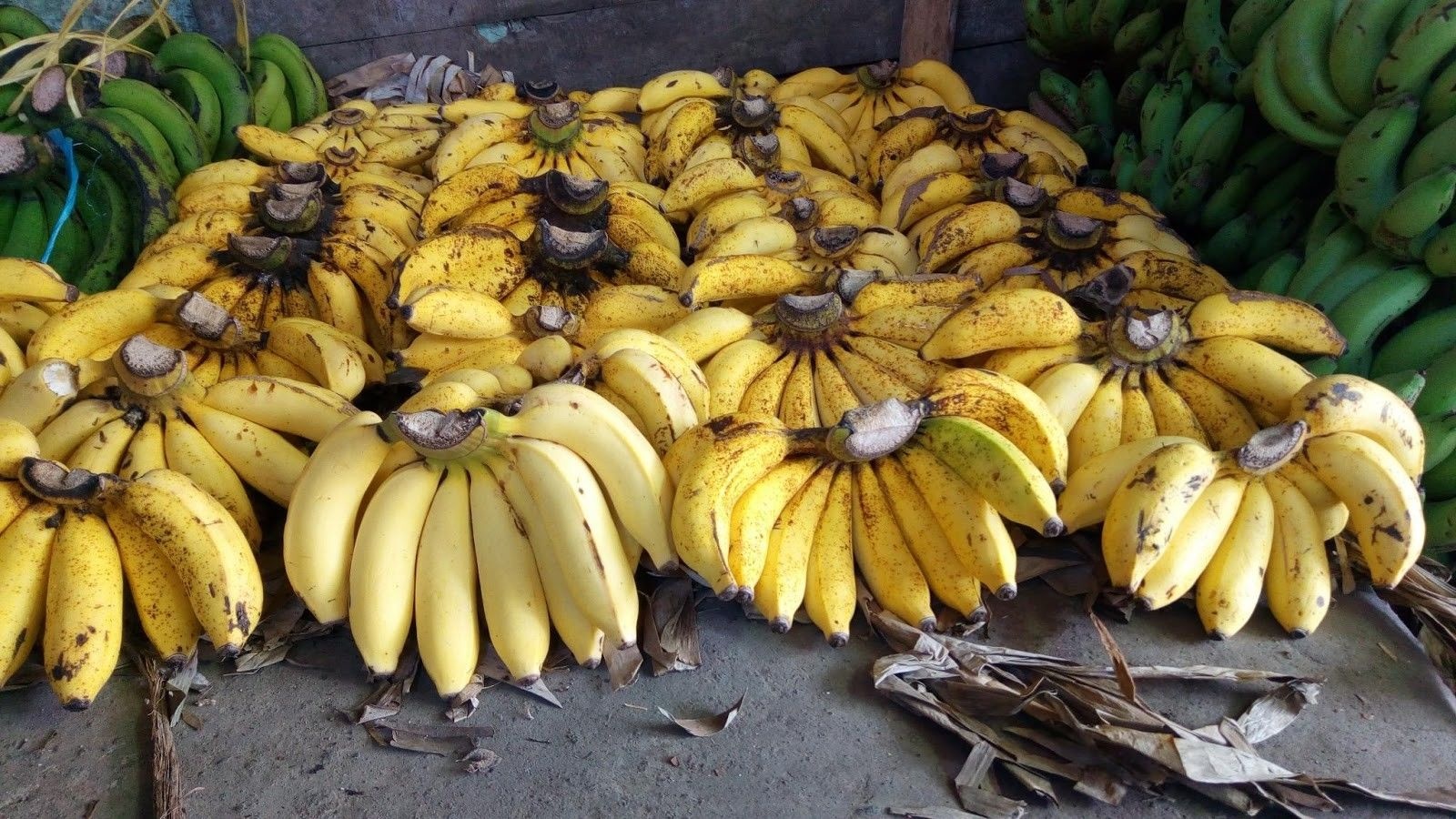 Pisang apa yang menurut kamu enak dimakan langsung? - Quora