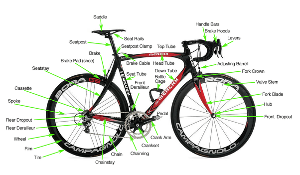 Mountain Bike Parts Diagram  