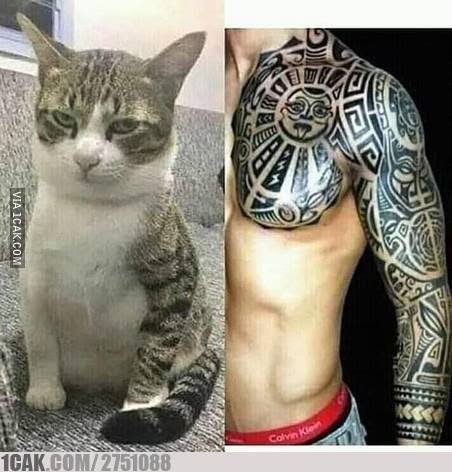 Apa saja dampak pergaulan bebas pada masyarakat luas? - Quora