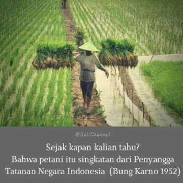 Nilai tukar petani (ntp) september naik 0,96% . Apakah Kata Petani Merupakan Singkatan Quora