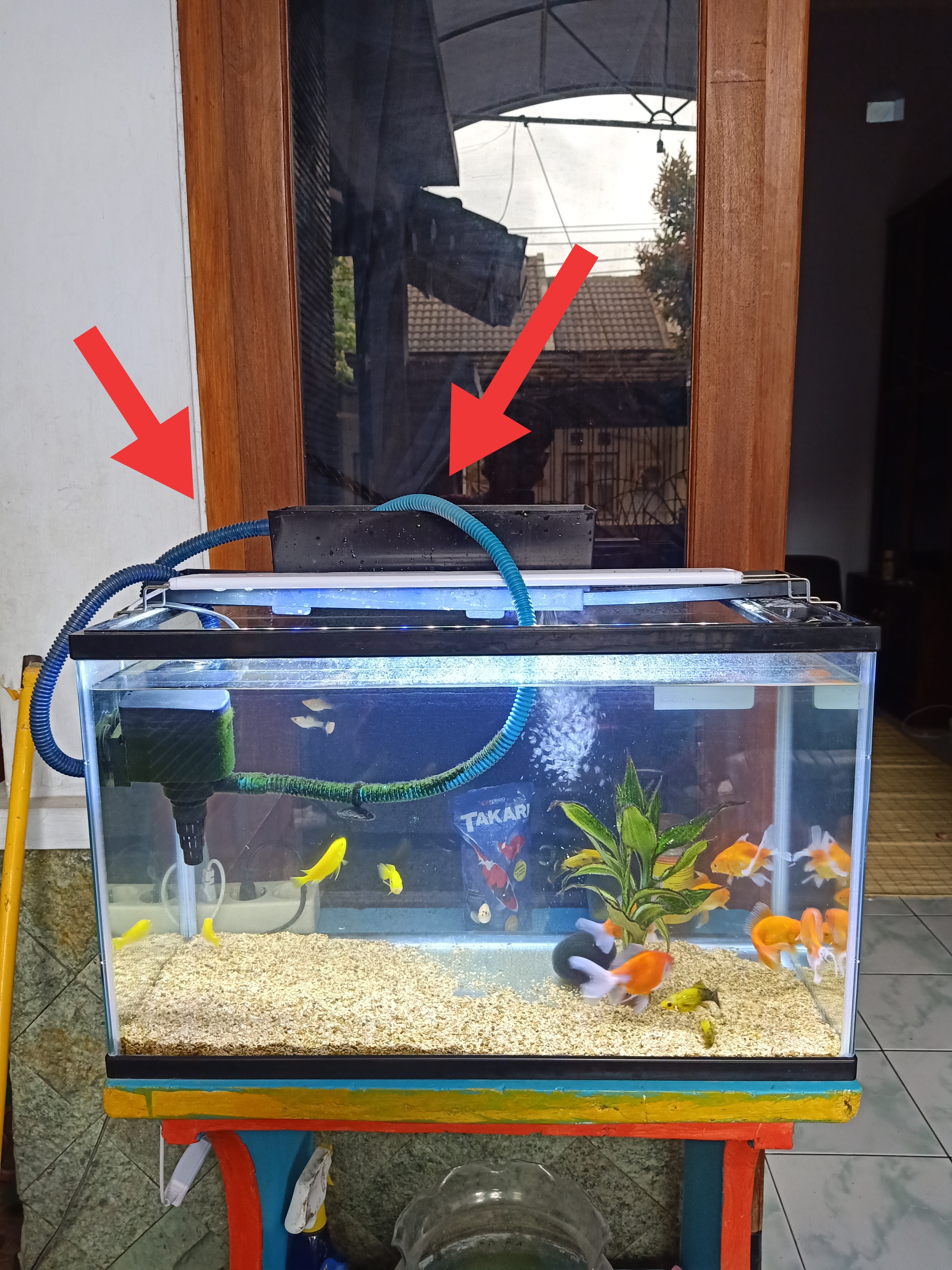 Buat lebih memudahkan perawatan filter supaya air akuarium senantiasa jernih, kamu wajib giat cuci spons maupun kain penyaring yang terdapat . Bagaimana Cara Membuat Kolam Ikan Agar Airnya Tetap Jernih Quora