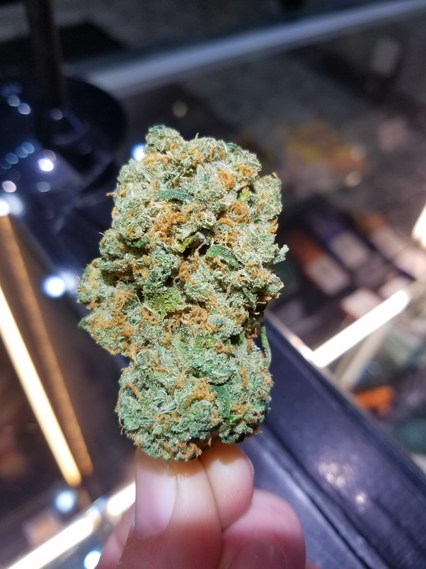 Get the hemp preroll that looks like a cigarette, but acts like cbd. Does it matter if I smoke weed while Iâ€™m fasting for a lab
